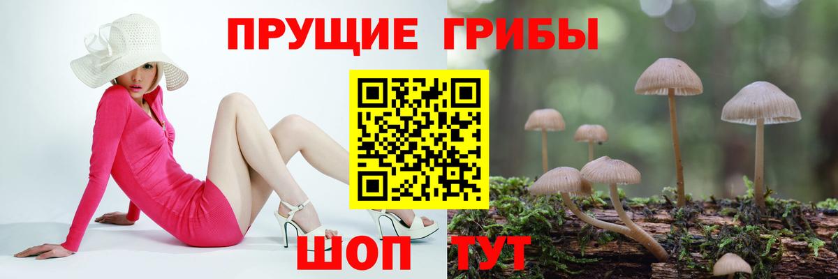 Псилоцибиновые грибы Magic Shrooms  Вход с VPN  Биробиджан  Псилоцибиновые грибы Psilocybine cubensis 