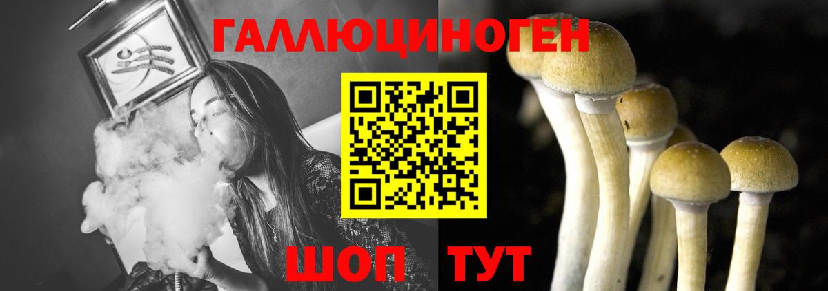 Псилоцибиновые грибы ЛСД Биробиджан